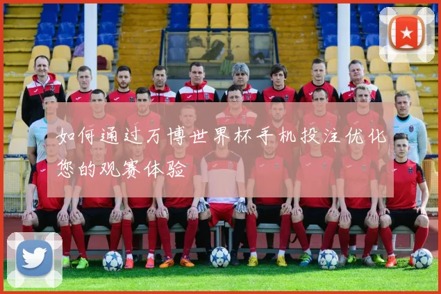 如何通过万博世界杯手机投注优化您的观赛体验