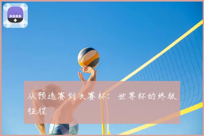 从预选赛到决赛杯：世界杯的终极征程