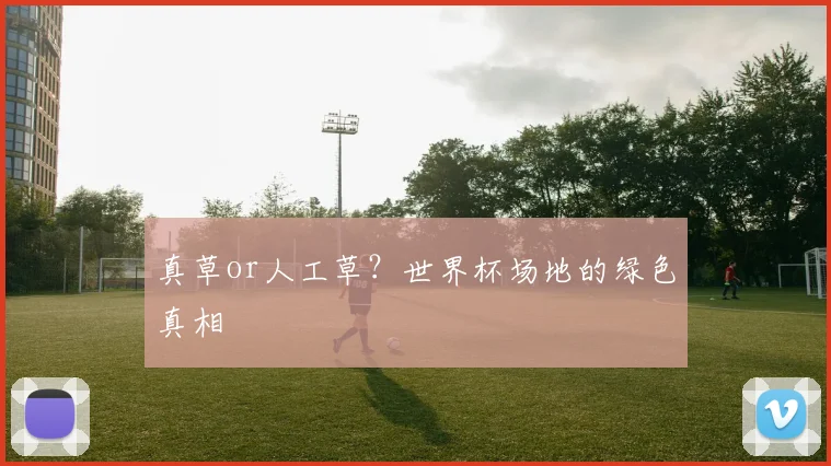 真草or人工草？世界杯场地的绿色真相