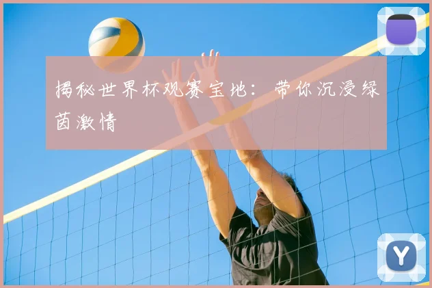 揭秘世界杯观赛宝地:带你沉浸绿茵激情