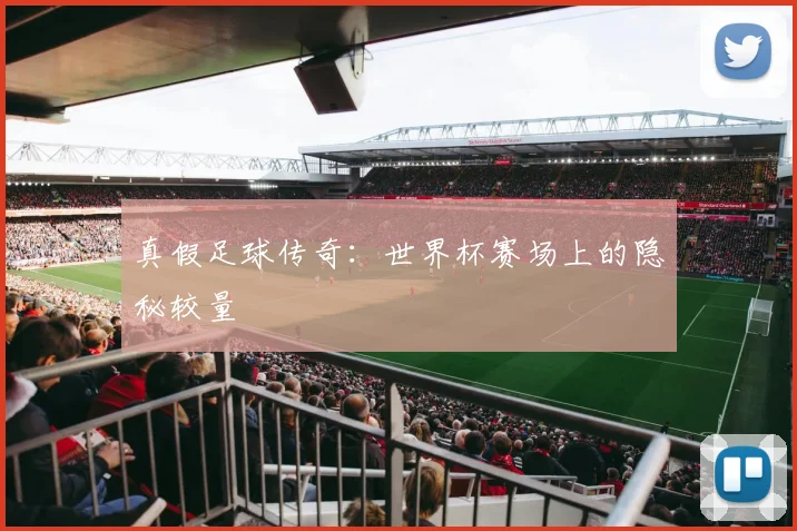 真假足球传奇：世界杯赛场上的隐秘较量