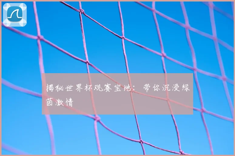 揭秘世界杯观赛宝地：带你沉浸绿茵激情