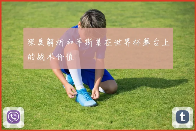 深度解析加辛斯基在世界杯舞台上的战术价值