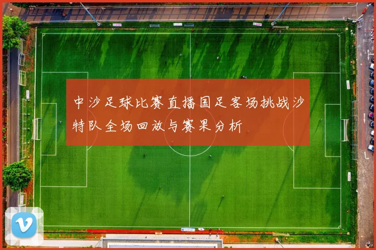中沙足球比赛直播国足客场挑战沙特队全场回放与赛果分析